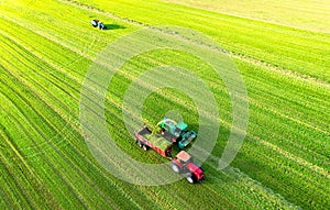 Forage harvester during grass cutting for silage in field. Harvesting biomass crop. Self-propelled Harvester for agriculture