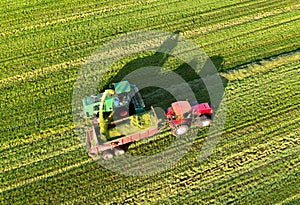 Forage harvester during grass cutting for silage in field. Harvesting biomass crop. Self-propelled Harvester for agriculture