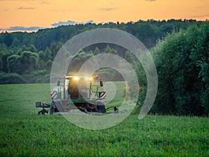 Forage harvesting in the fields.