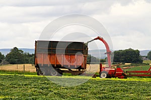 Forager on silage duty photo