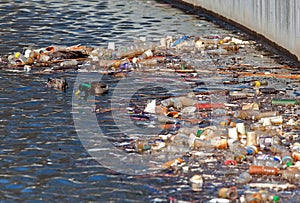 Pásť kačky najbližšie recyklovateľný odpadky 