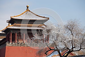 The Forbidden City