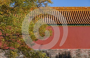 The Forbidden City in Autumn