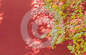 The Forbidden City in Autumn