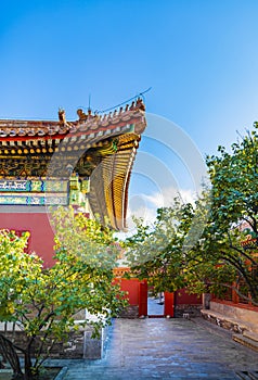 The Forbidden City in Autumn