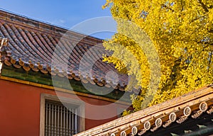 The Forbidden City in Autumn