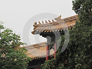 Forbidden city, Beijing, China