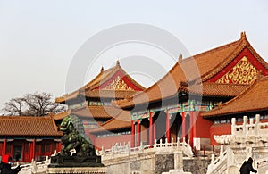 Forbidden City. Beijing. China