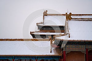 The Forbidden City in Beijing after snowfall