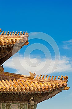 Forbidden city detail