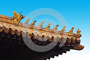 Forbidden City Roof Carving, Beijing China Travel