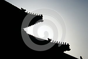 Forbidden City Roof Carving, Beijing China Travel