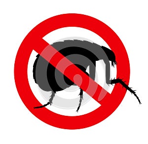 Forbidden Floh Insect