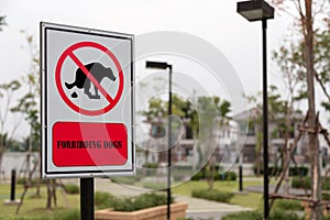 Forbidding dogs sign