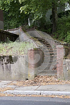 Forboding Staircase leads up into a deeply foliated yard