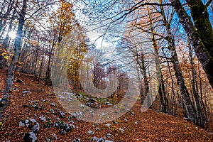 Forca d`Acero, Abruzzo National Park, Italy photo