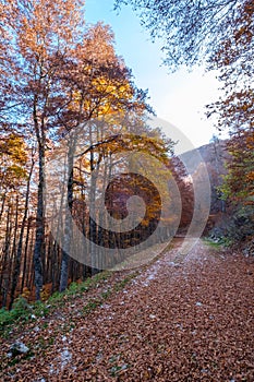 Forca d`Acero, Abruzzo National Park, Italy photo