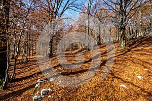 Forca d`Acero, Abruzzo National Park, Italy photo