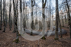 Forca d`Acero, access to Parco Nazionale d`Abruzzo, Italy