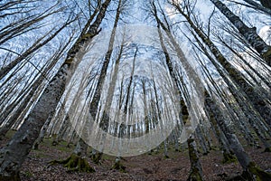 Forca d`Acero, access to Parco Nazionale d`Abruzzo, Italy