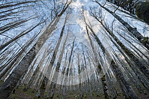 Forca d`Acero, access to Parco Nazionale d`Abruzzo, Italy photo