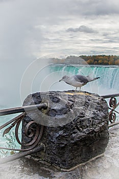 The force of nature at Niagara Falls