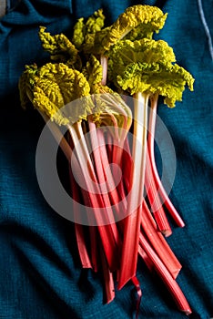 Forced rhubarb, pink rhubarb from etiolation