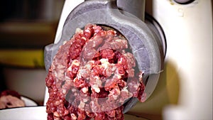 Forcemeat preparation in an electric meat grinder