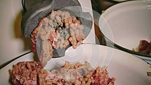 Forcemeat preparation in an electric meat grinder