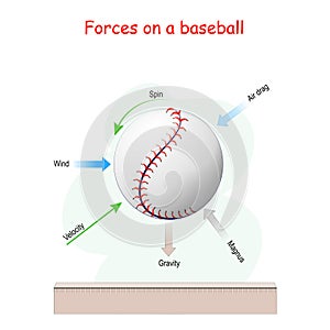 Forces acting on a baseball in flight