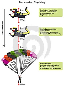 Forces when skydiving infographic diagram
