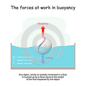 The forces at work in buoyancy. Gravity and Buoyancy photo