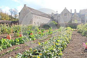 Rhubarb Forcers, Forde Abbey Kitchen Garden, Somerset, UK