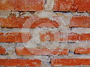 Foreground of a brick wall