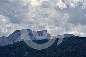 Foreground on the Croda del Becco, Seekofel