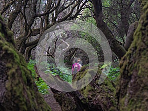 In the foreground a defocused tree trunk. In the background, people go hiking.