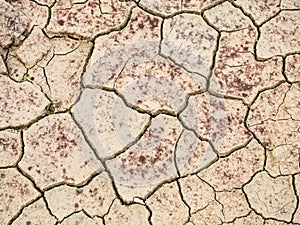 Dry land texture