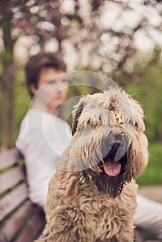 In the foreground, a fluffy dog sits on a bench, with a young man sitting behind it.