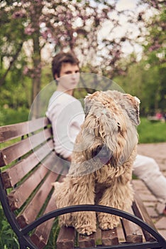 In the foreground, a fluffy dog sits on a bench, with a young man sitting behind it.