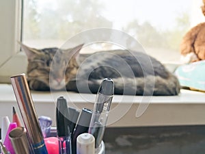 In the foreground of the handle in the glass, in the background the cat is blurred