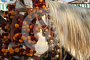 Foreground of a horse with trappings at the Fair, Sevilla, feast in Spain photo