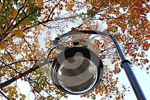 In the foreground, the lantern is a transparent glass ball against a background of multicolored trees with red orange yellowed fol