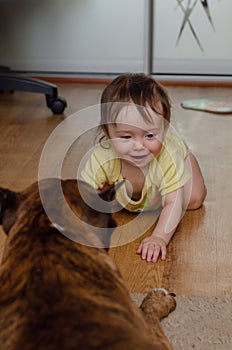 in the foreground, a Staffordshire terrier lying on the carpet and a little girl crying in the background