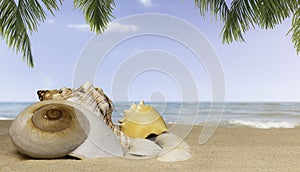 The foreground of a variety of seashells on the sand on the sea background with palm tree leaves