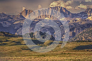 Foreground Wyoming Wildflowers and Sawtooth Mountains