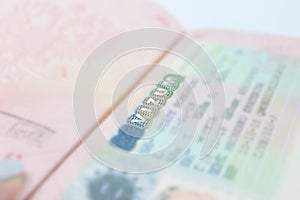 foreign passport visa in a passport