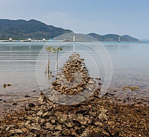 Foreland on the island of Koh Chang