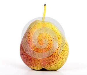 forelle pear