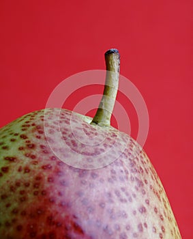 Forelle Pear against red background