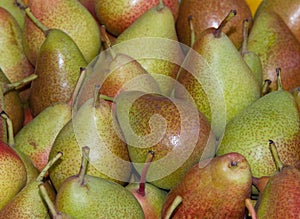 Forelle Pears